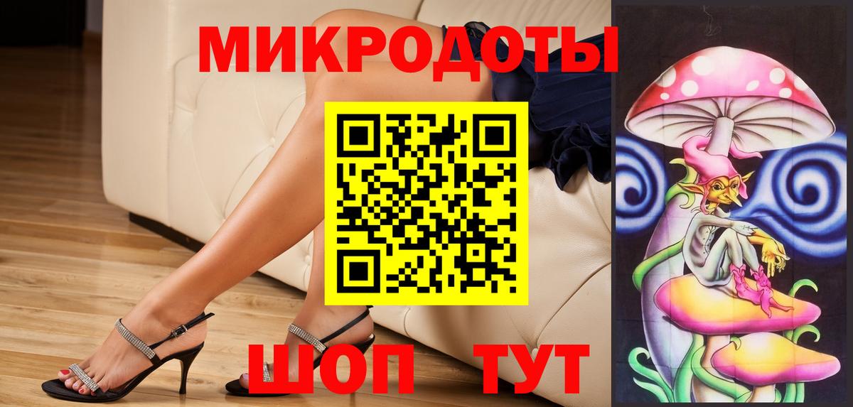 Псилоцибиновые грибы Psilocybe Дедовск