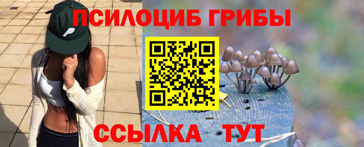 Дедовск  Псилоцибиновые грибы прущие грибы  Вход с VPN  Псилоцибиновые грибы Magic Shrooms 